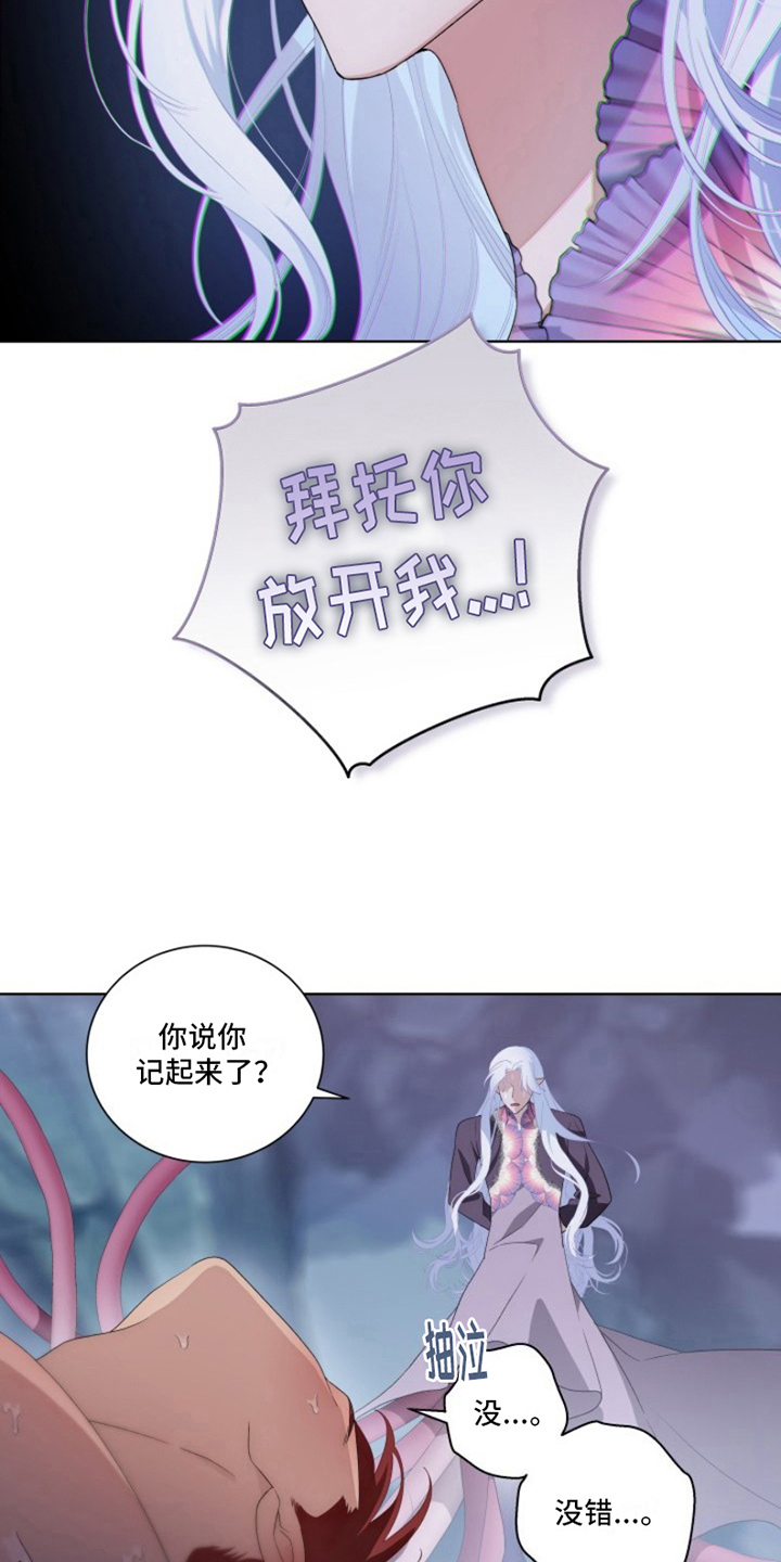 第26章：最美丽的宝物：身份1