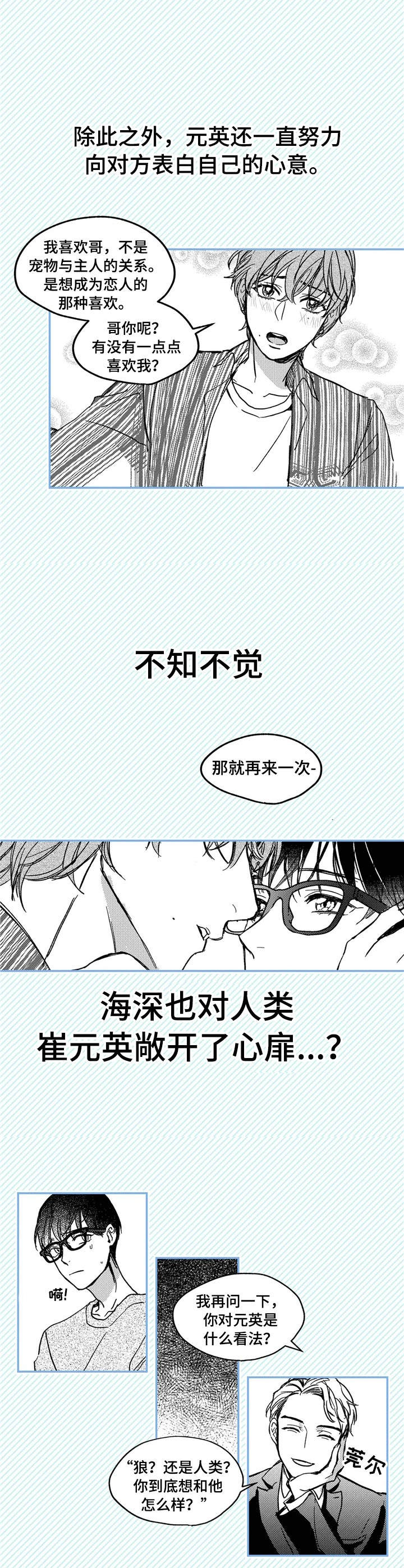 第1章：小动物4