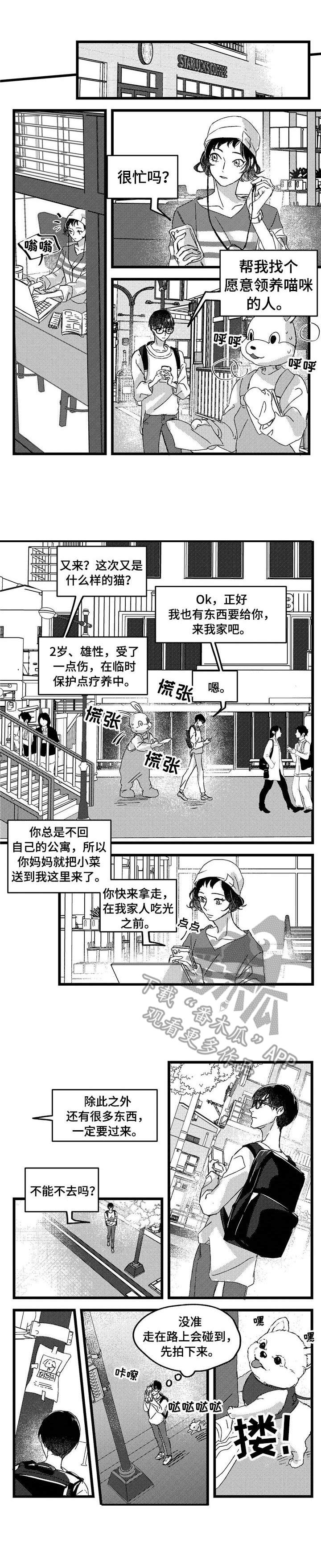 第2章：举止怪异0