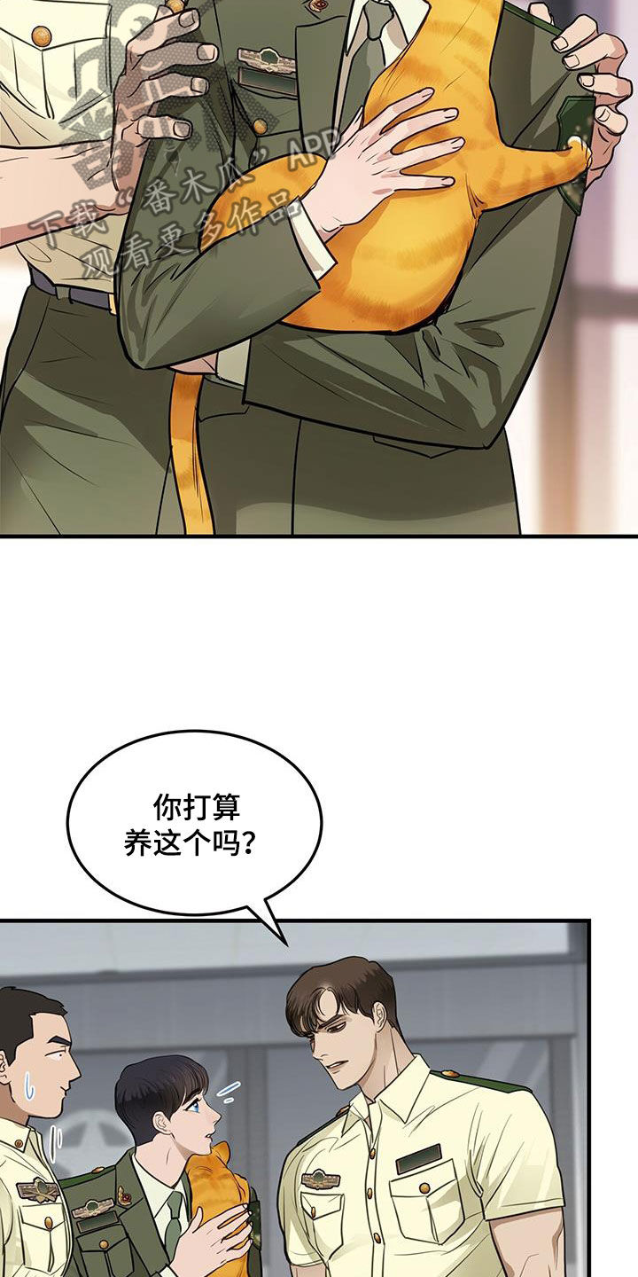 第28章：对猫过敏1