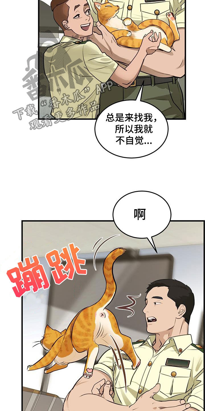 第28章：对猫过敏3