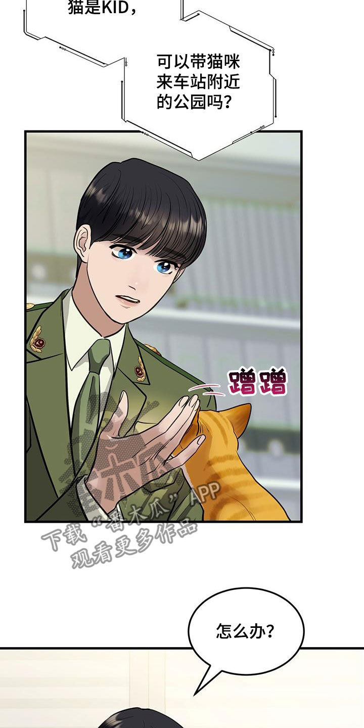 第31章：猫主人4