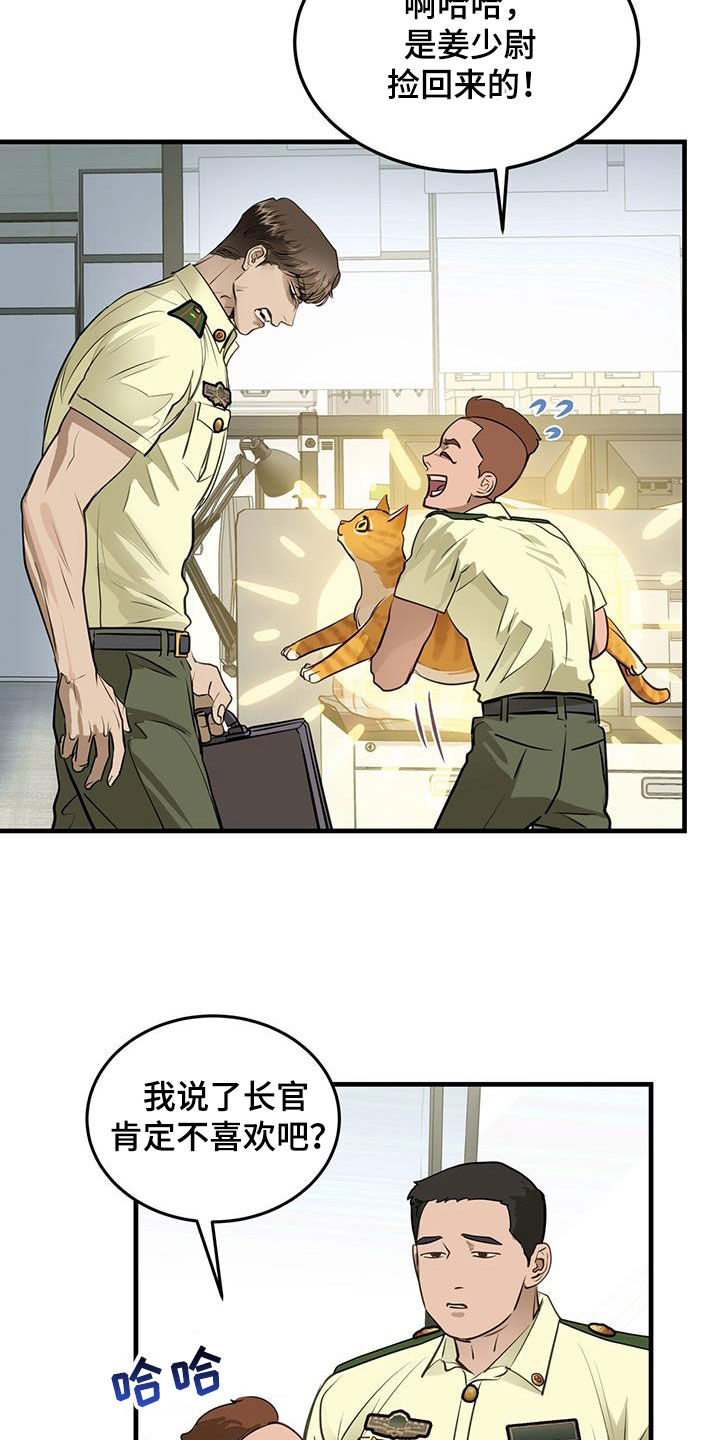 第28章：对猫过敏2