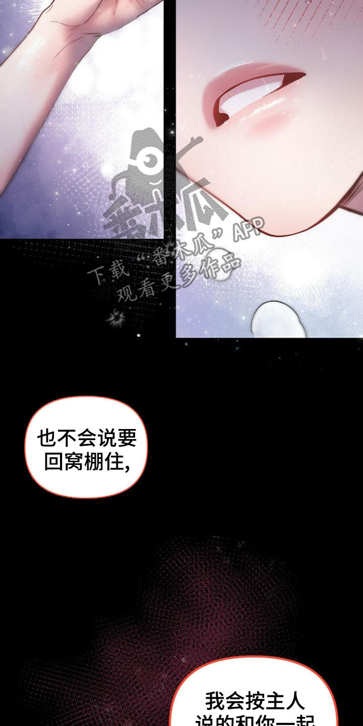 第26章：该死的4
