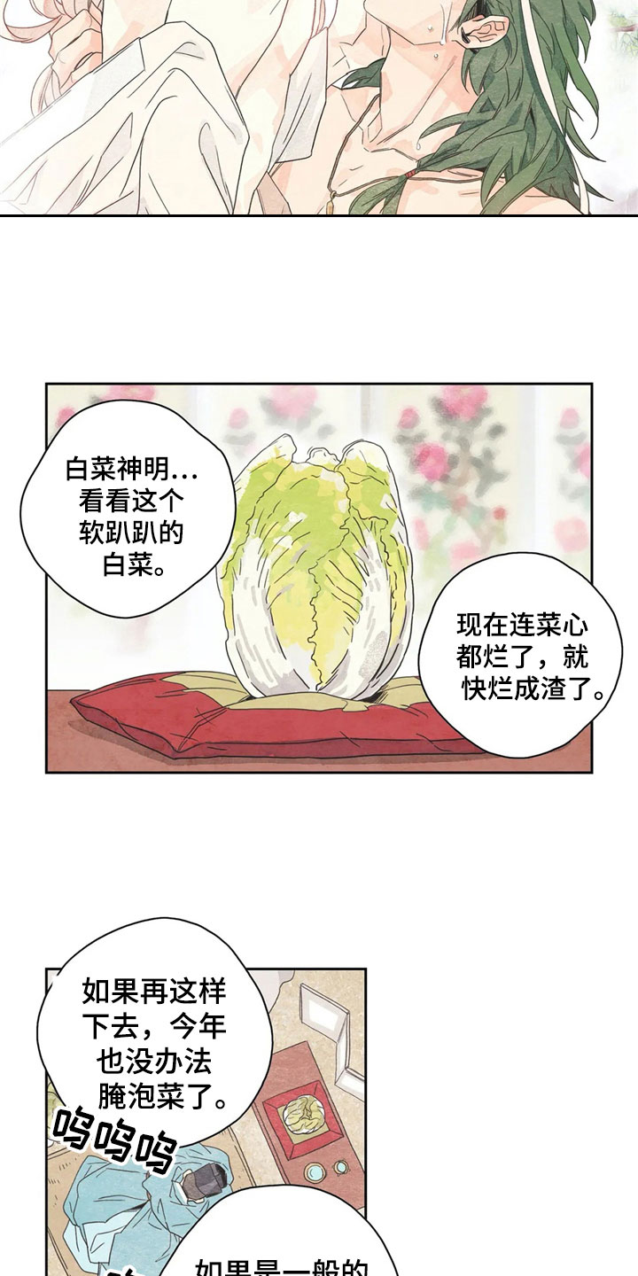 第35章：萝卜与白菜：泡菜神3