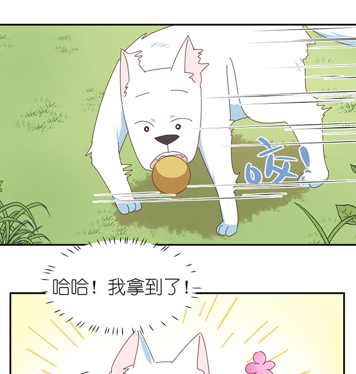 第62章：你不要我了吗3