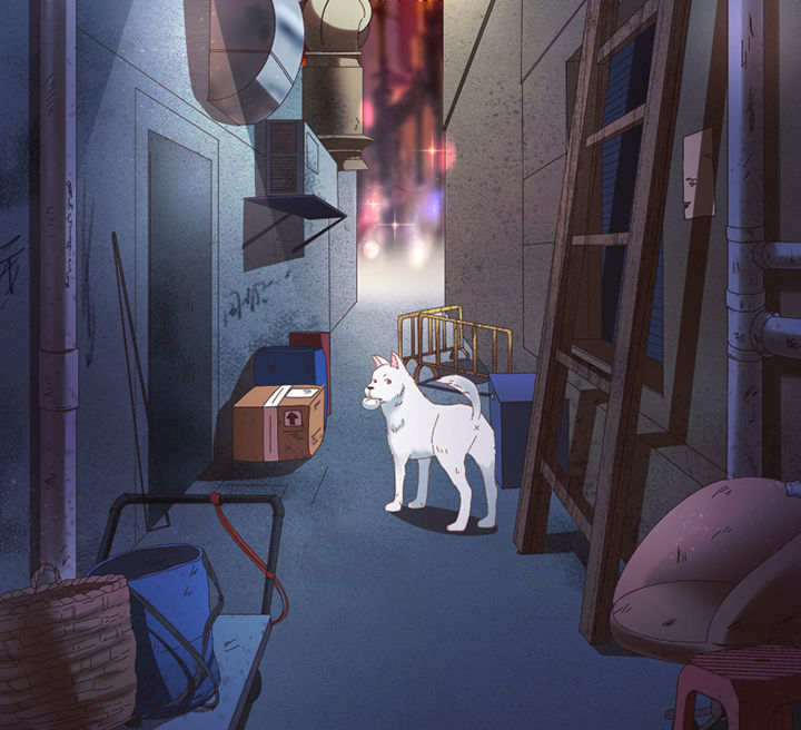 第57章：才不是流浪狗0