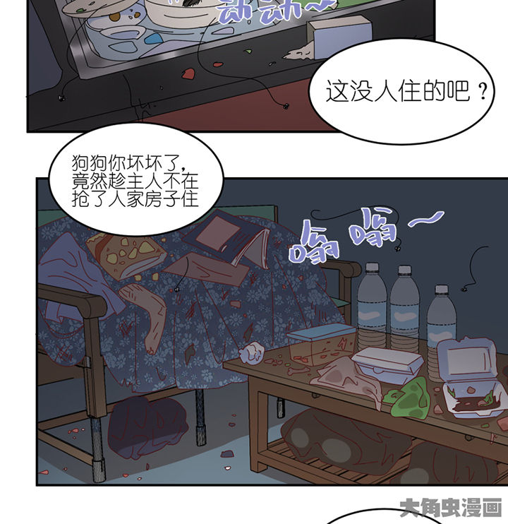 第57章：才不是流浪狗3