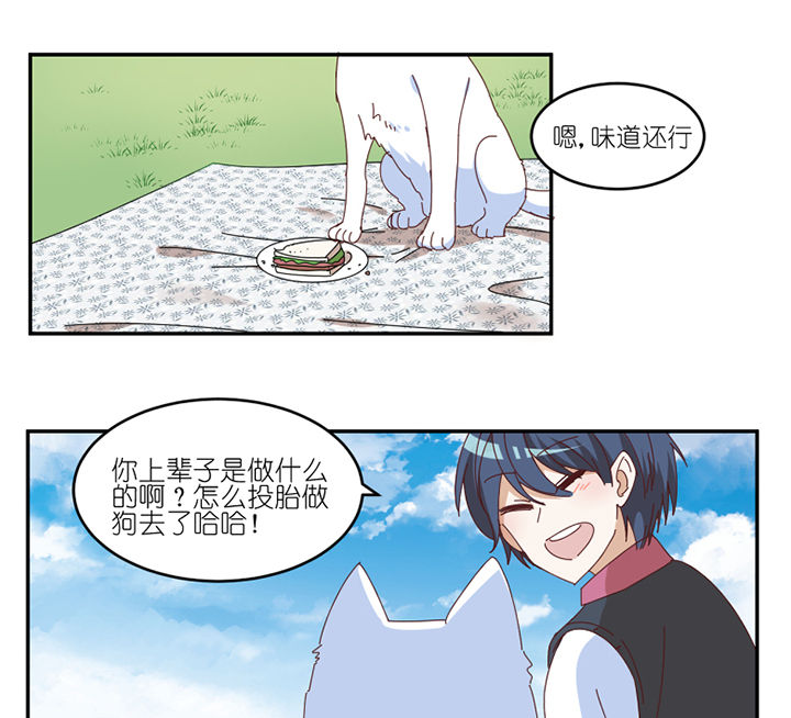 第59章：我讨厌狗0