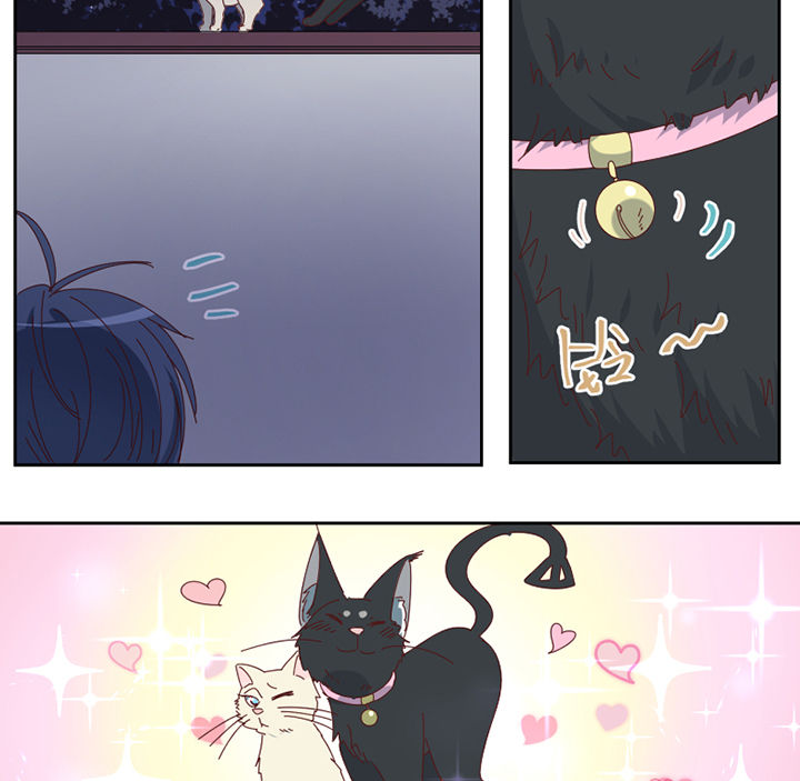 第77章：孟婆会议3