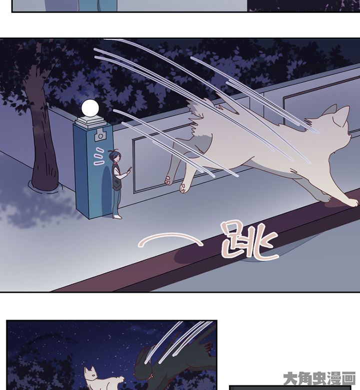 第77章：孟婆会议2