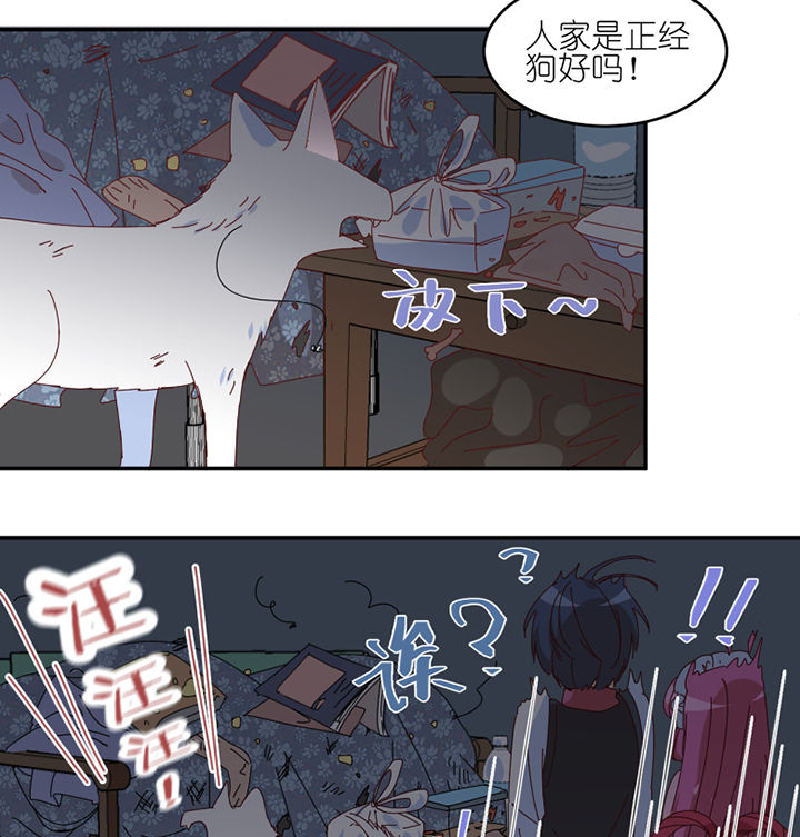 第57章：才不是流浪狗4