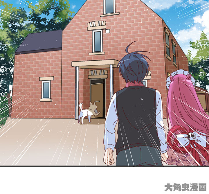 第57章：才不是流浪狗0