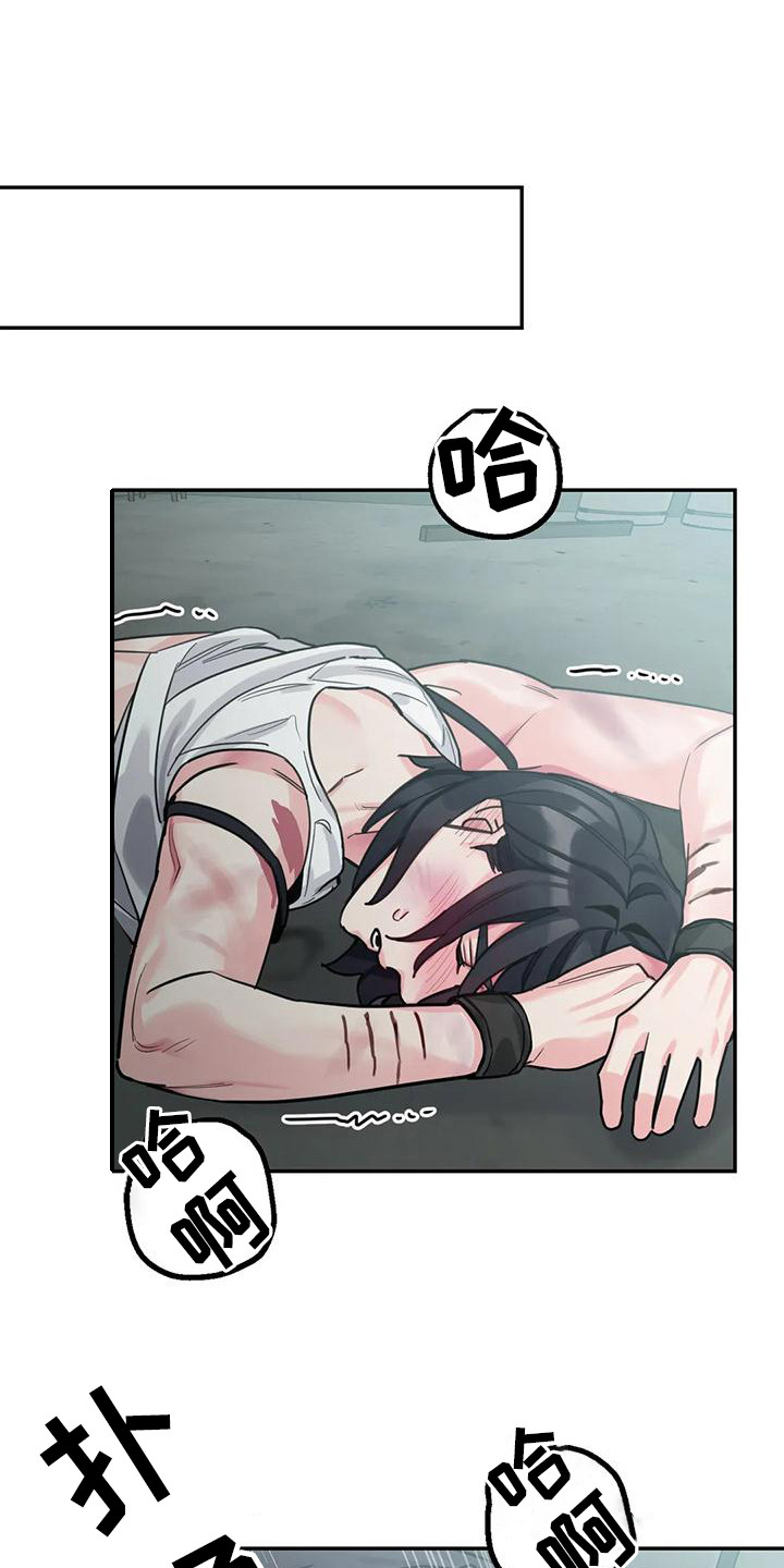 第15章：间谍：打破枷锁（完）0