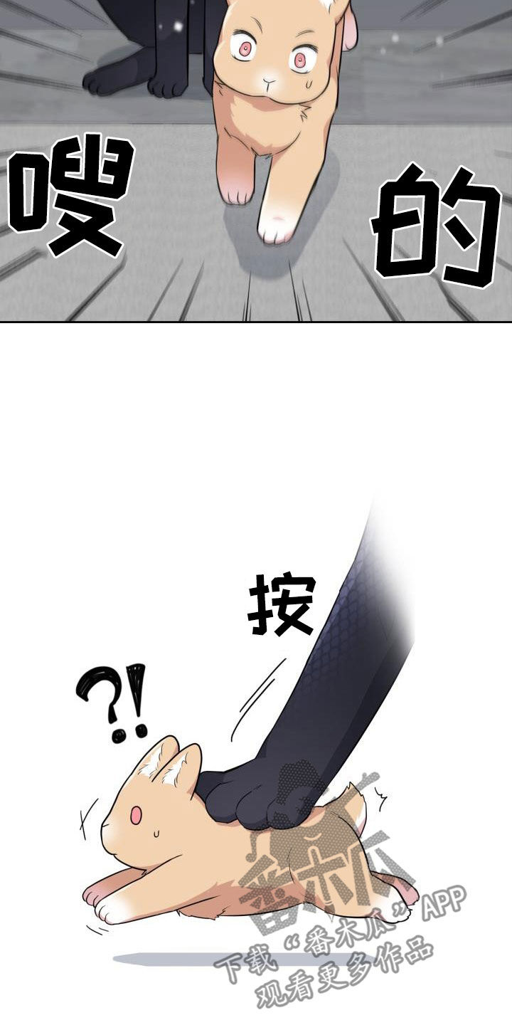 第123章：【第二季】没办法回家1