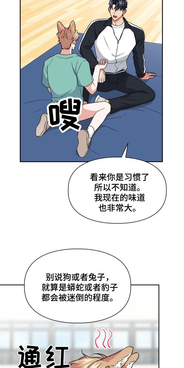 第96章：【第二季】到底为什么2