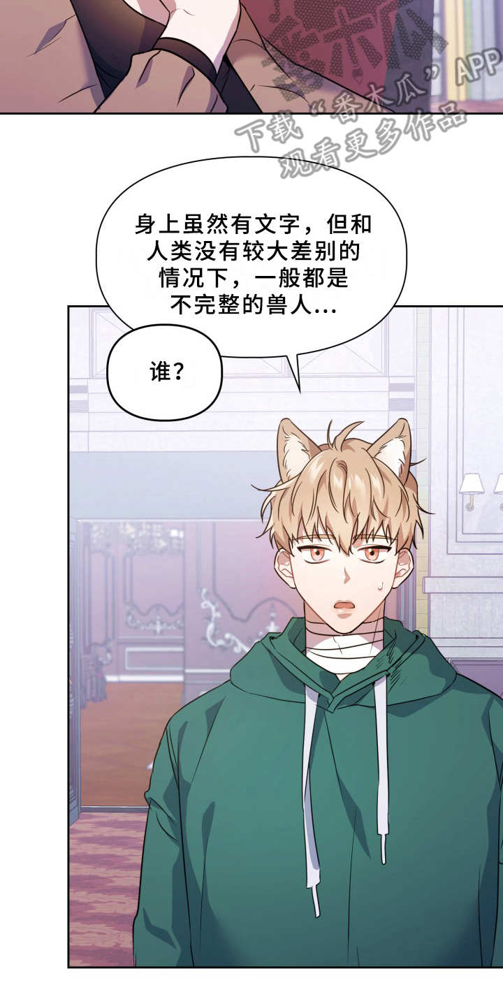 第11章：不适应2