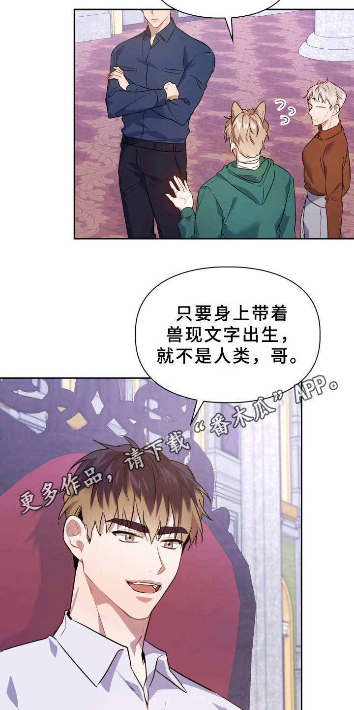 第11章：不适应4