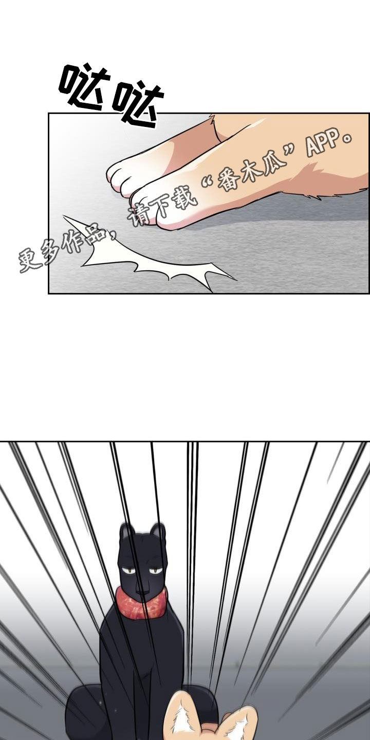 第123章：【第二季】没办法回家0