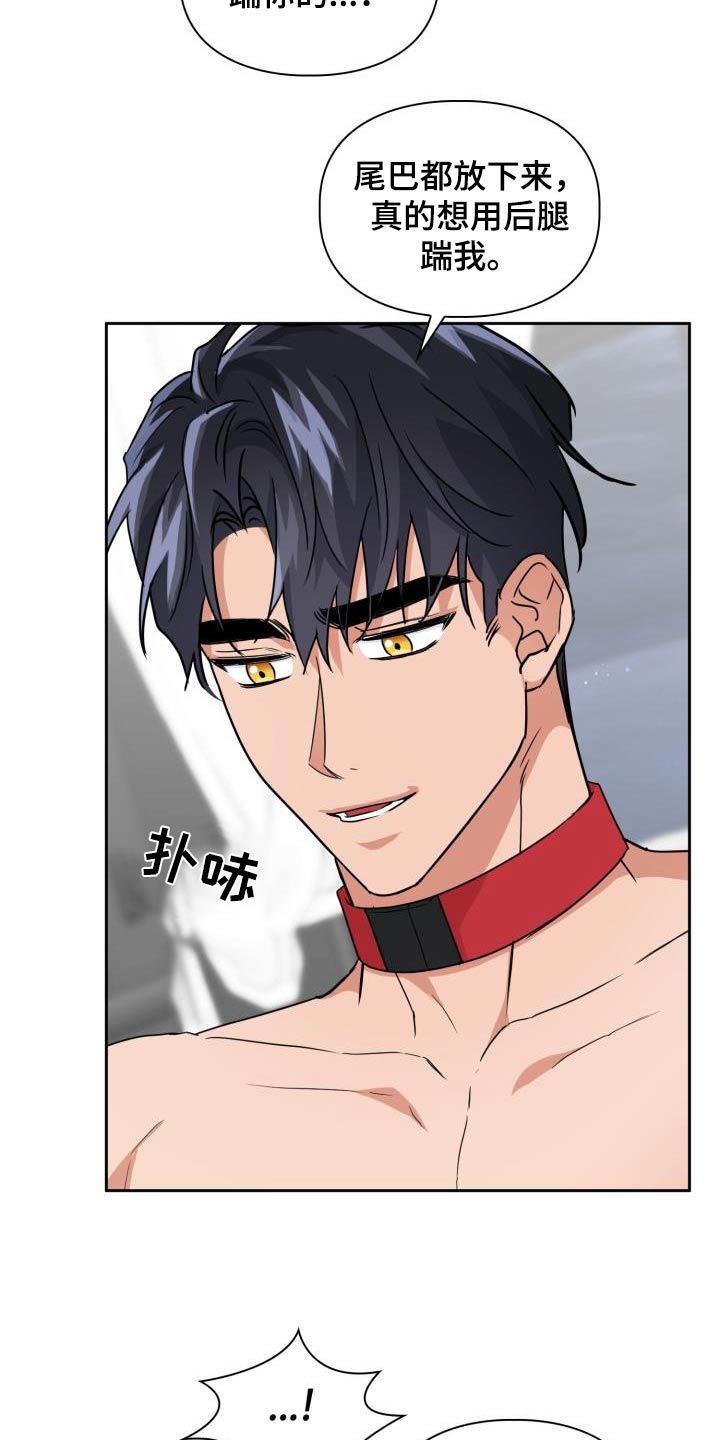 第86章：【第二季】豹子3