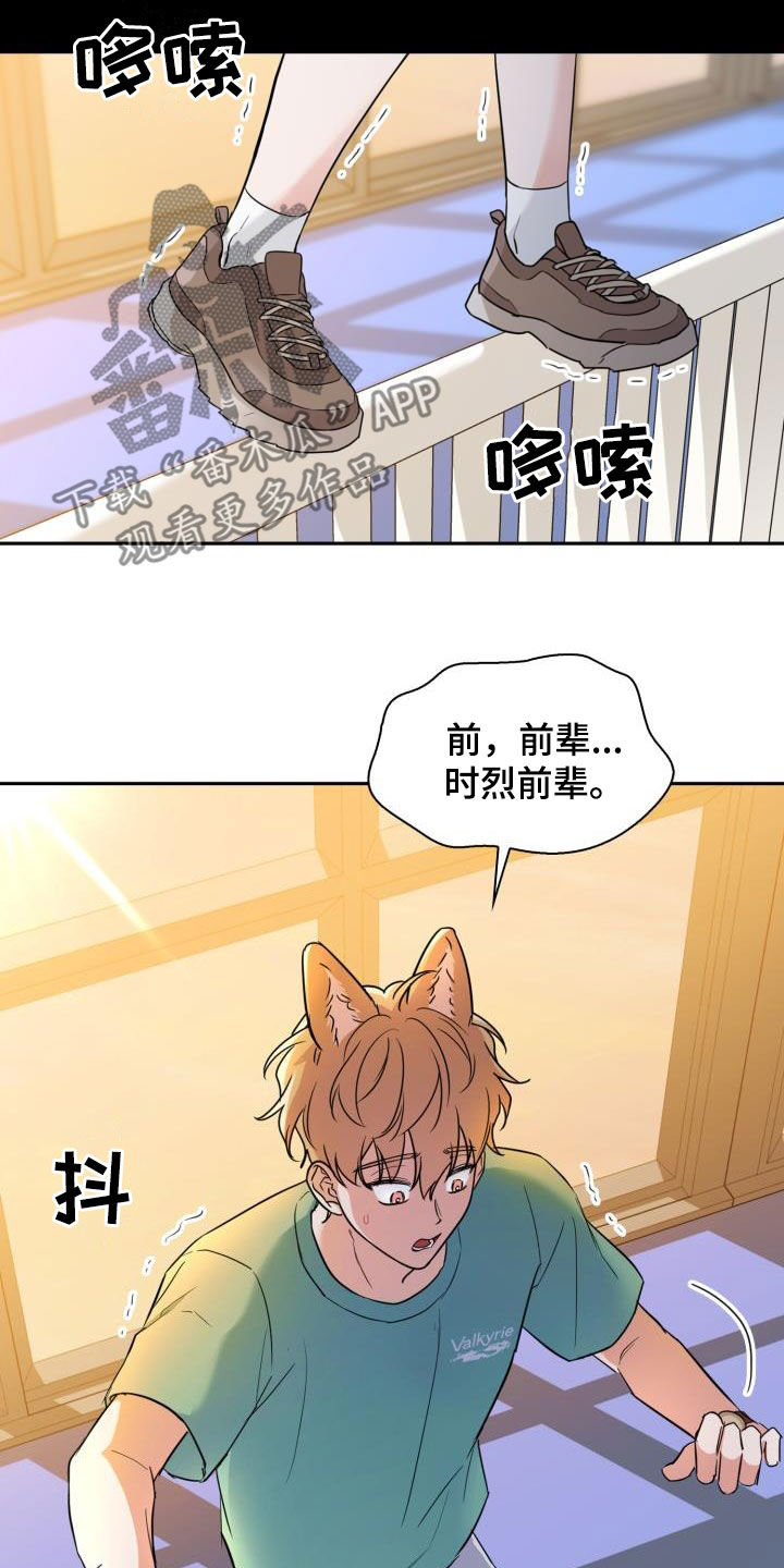 第100章：【第二季】胡思乱想2