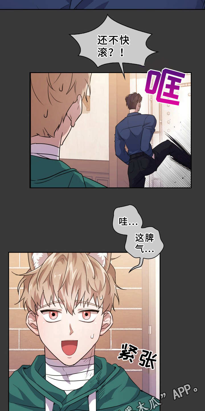 第15章：清洗干净3