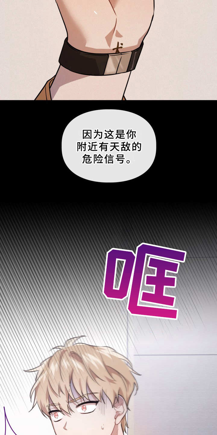 第1章：在哪见过3