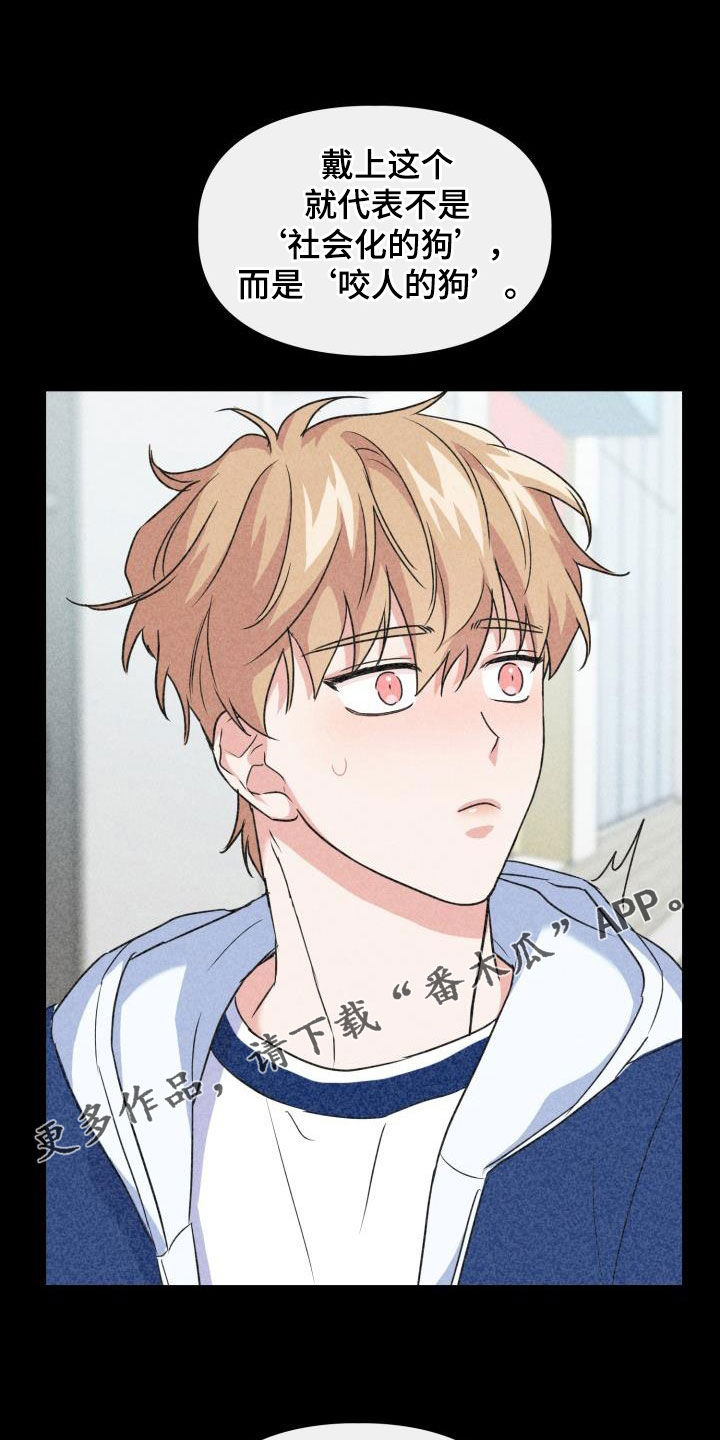 第113章：【第二季】没关系0