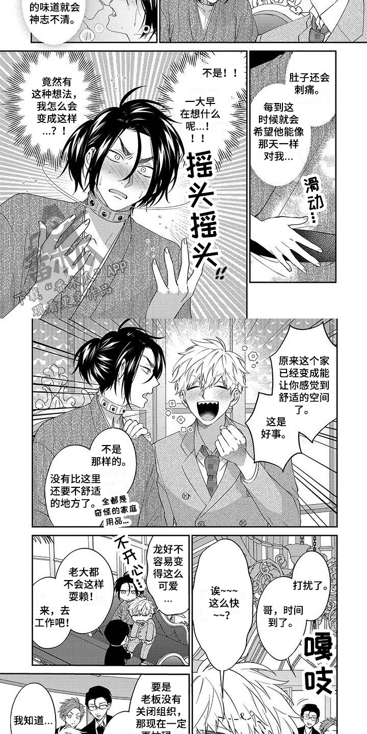 第13章：怎么办1