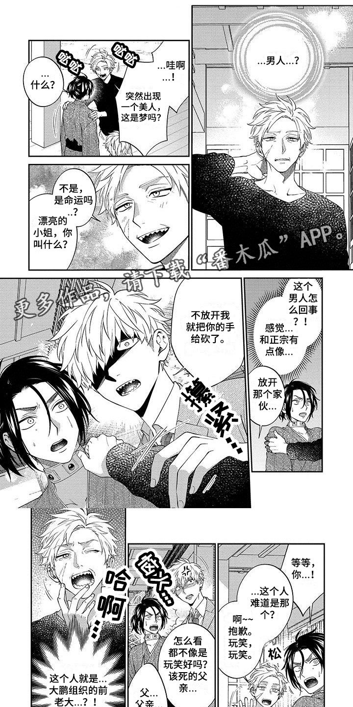 第18章：见父母0