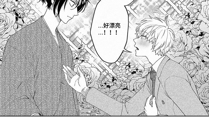 第1章：一见钟情4