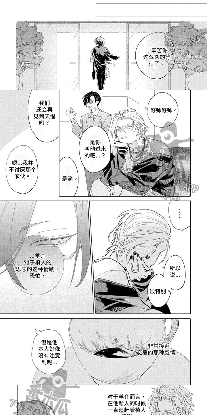 第25章：耀眼的星星1