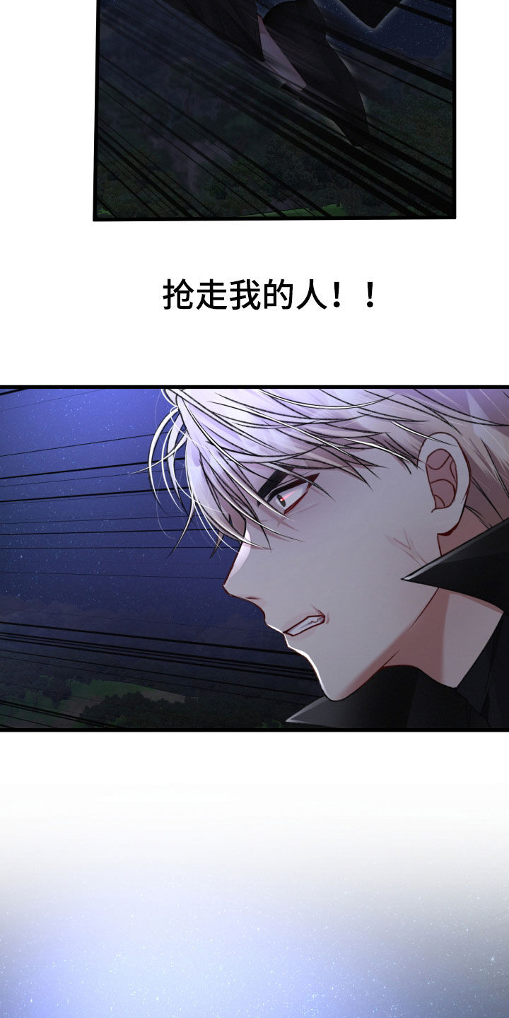 第65章：打一架吧1