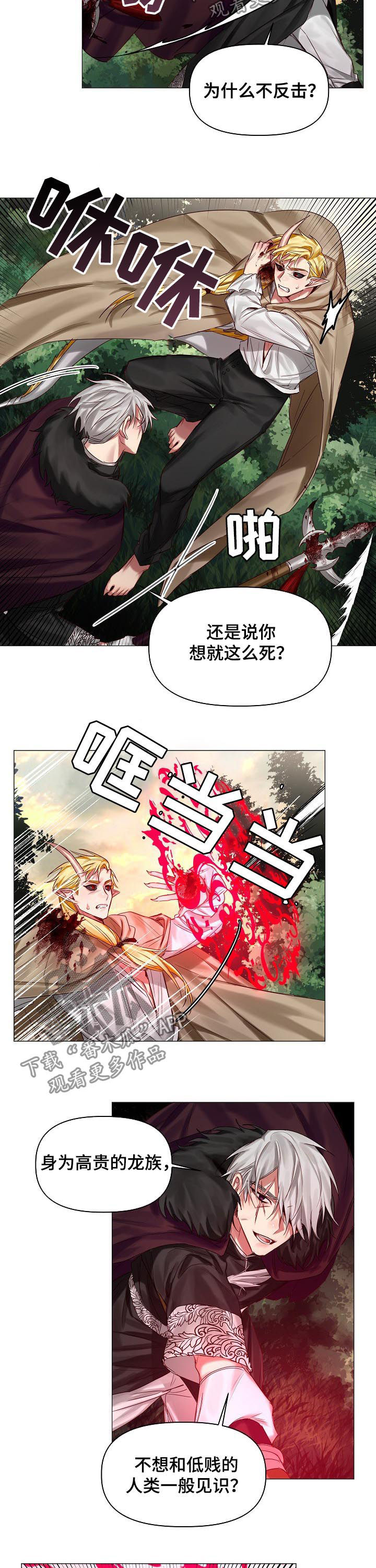 第40章：保守的手段4