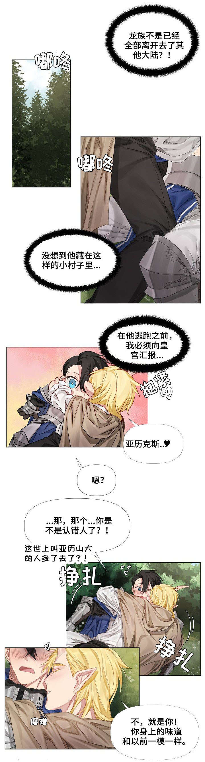 第2章：龙族4