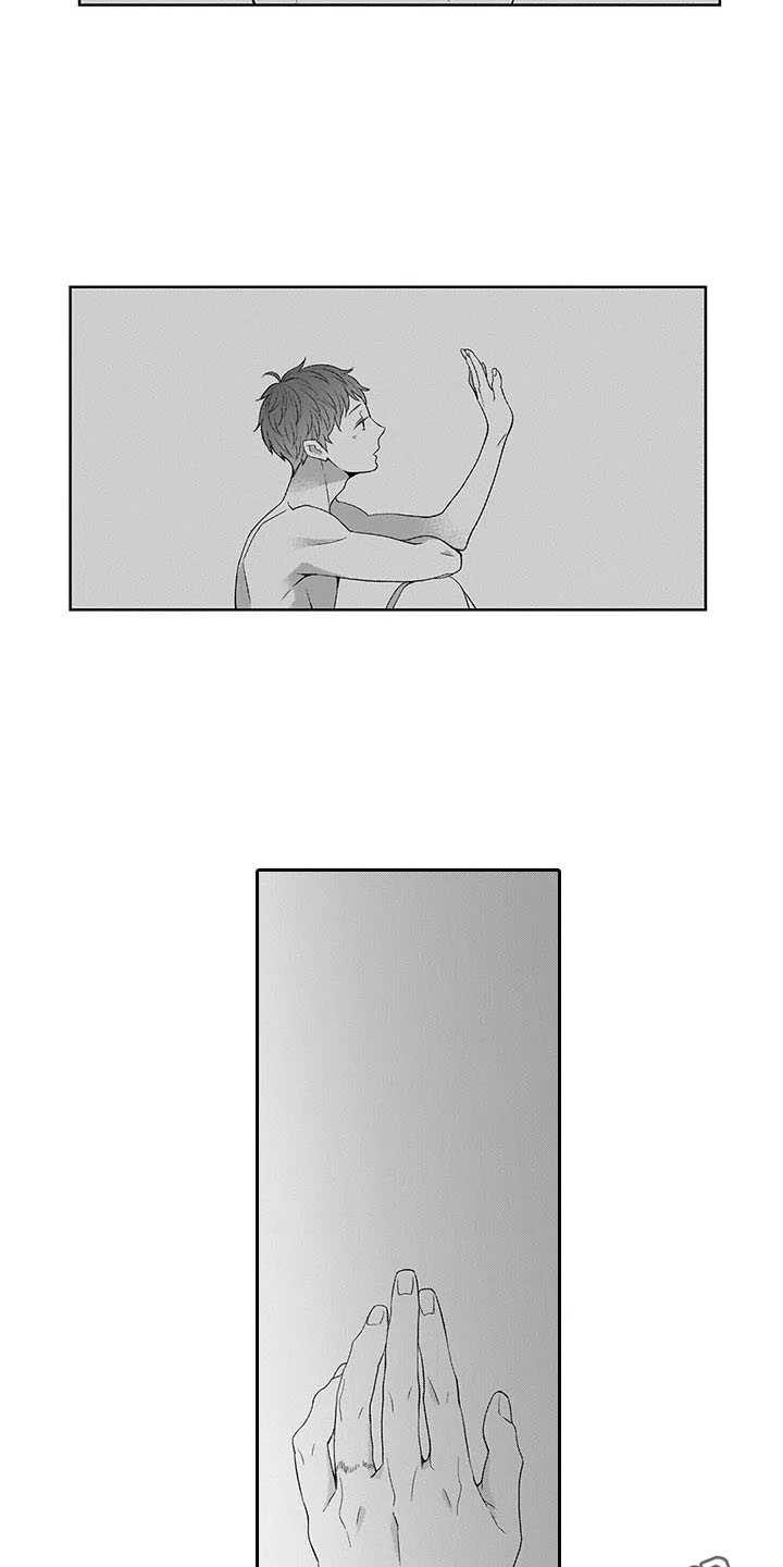 第28章：我回来了（完结）2