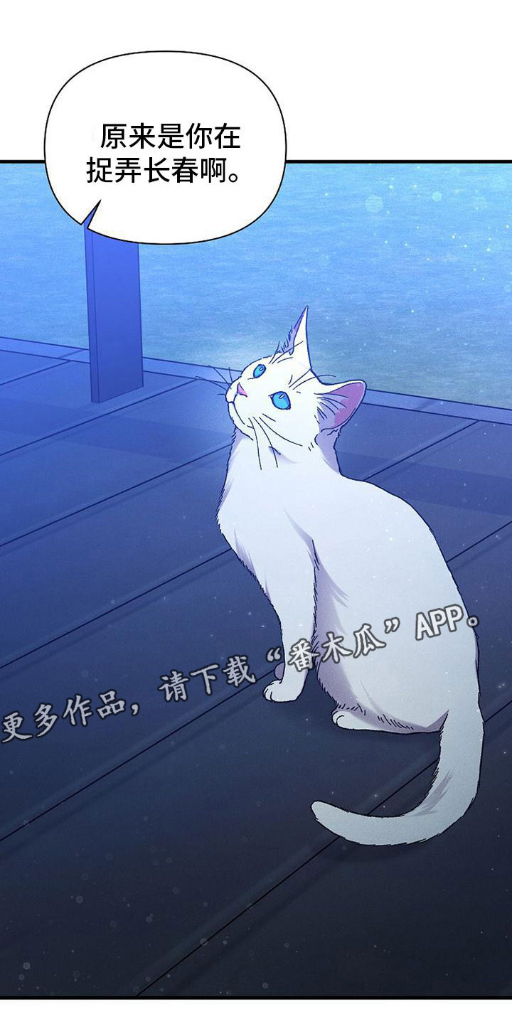 第13章：下雨天0