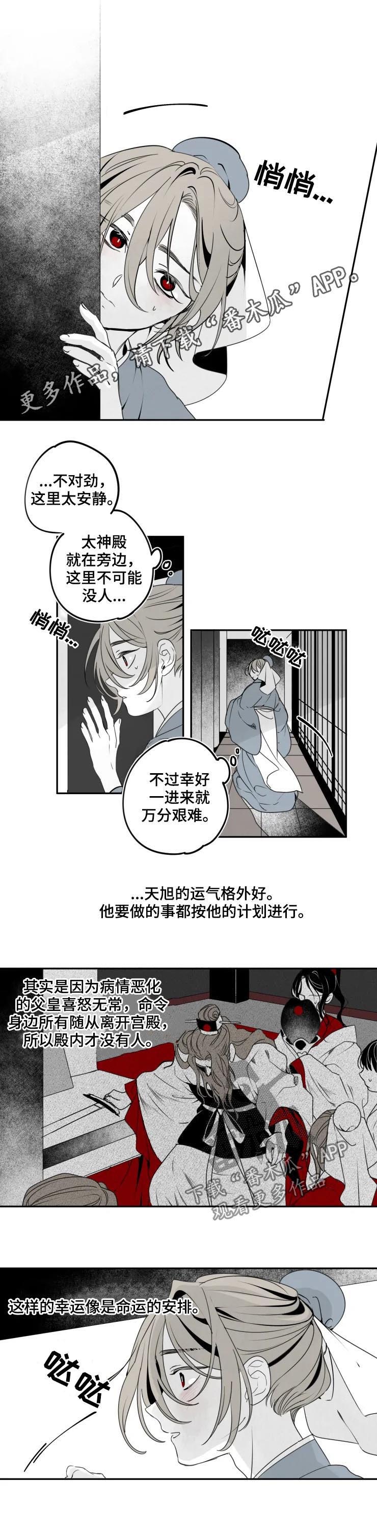 第44章：秘辛0