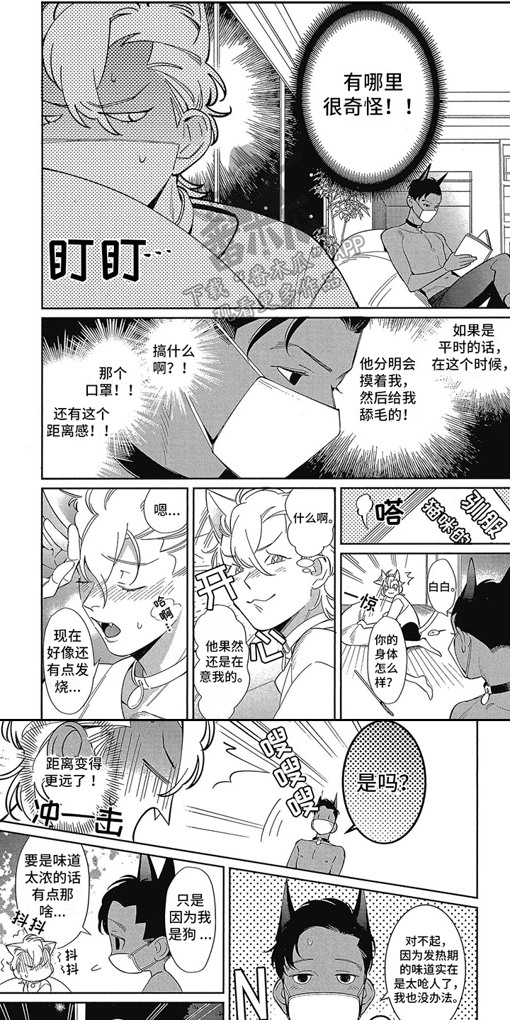 第5章：不安定0