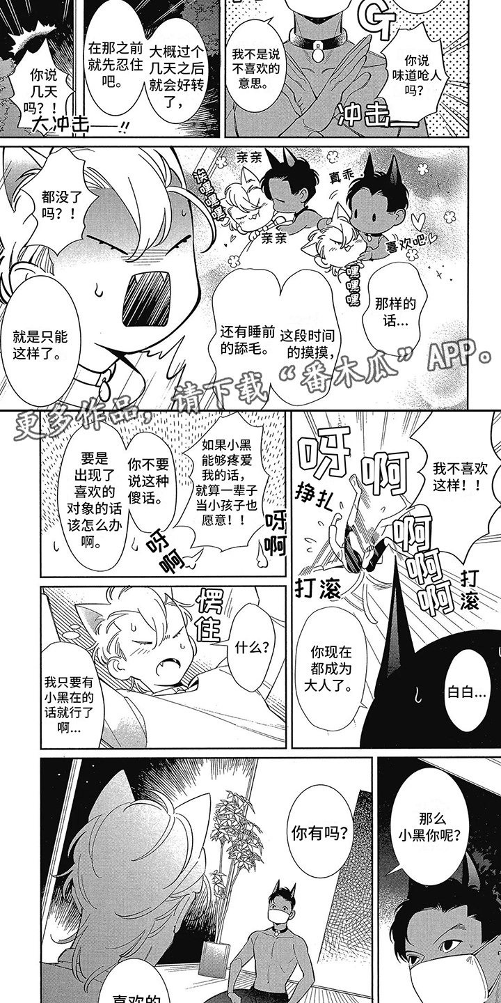 第5章：不安定1