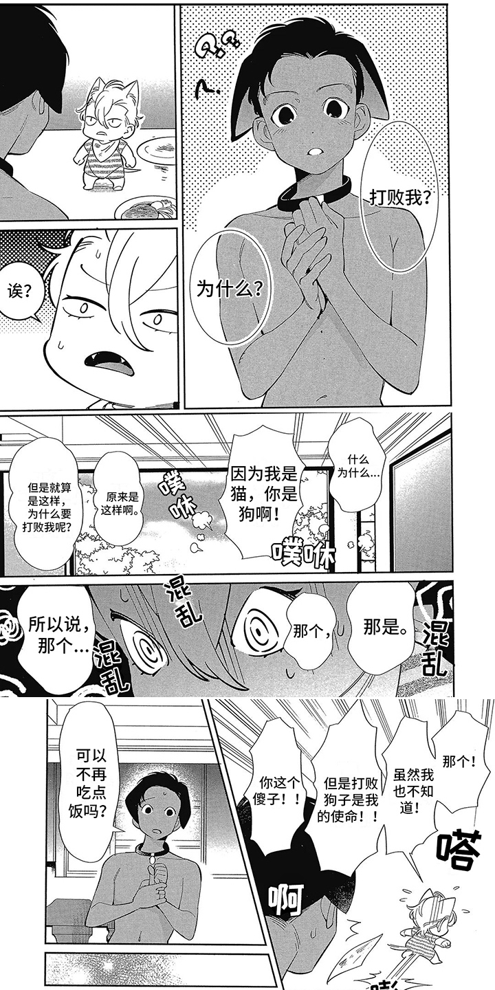 第3章：更好的东西0