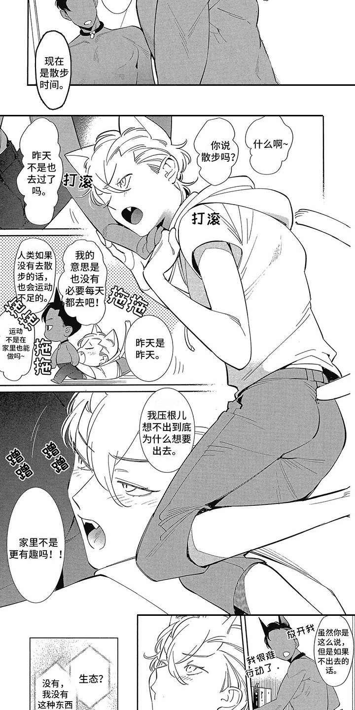 第3章：更好的东西4