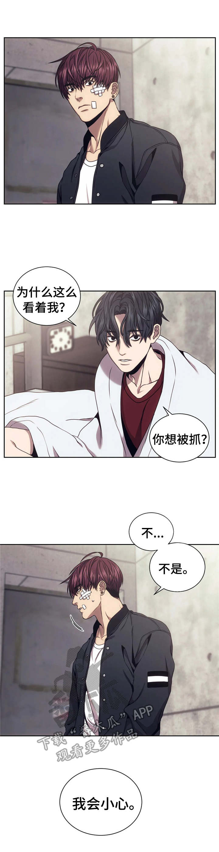 第29章：照片2