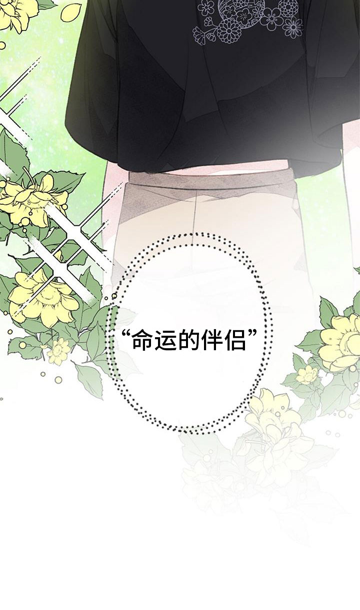 第34章：命运的伴侣2