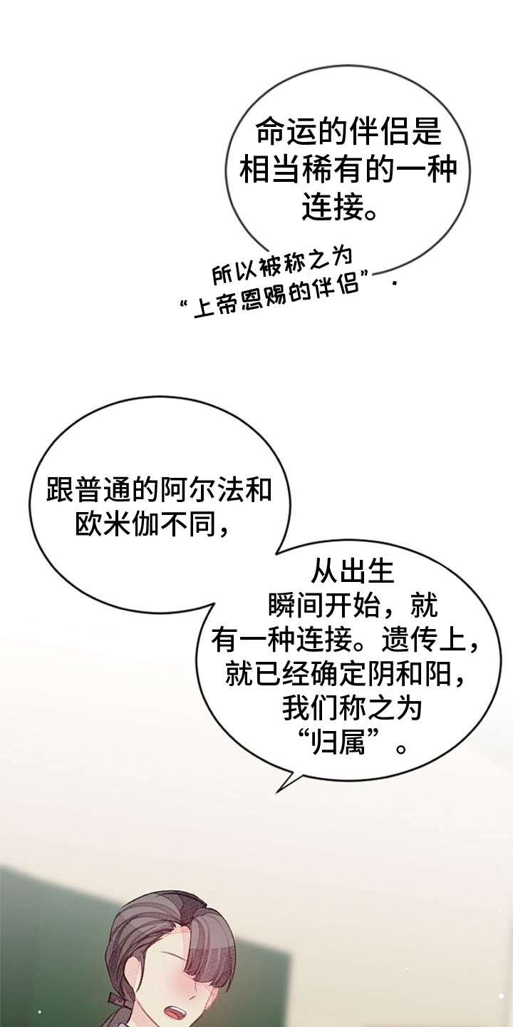 第34章：命运的伴侣3