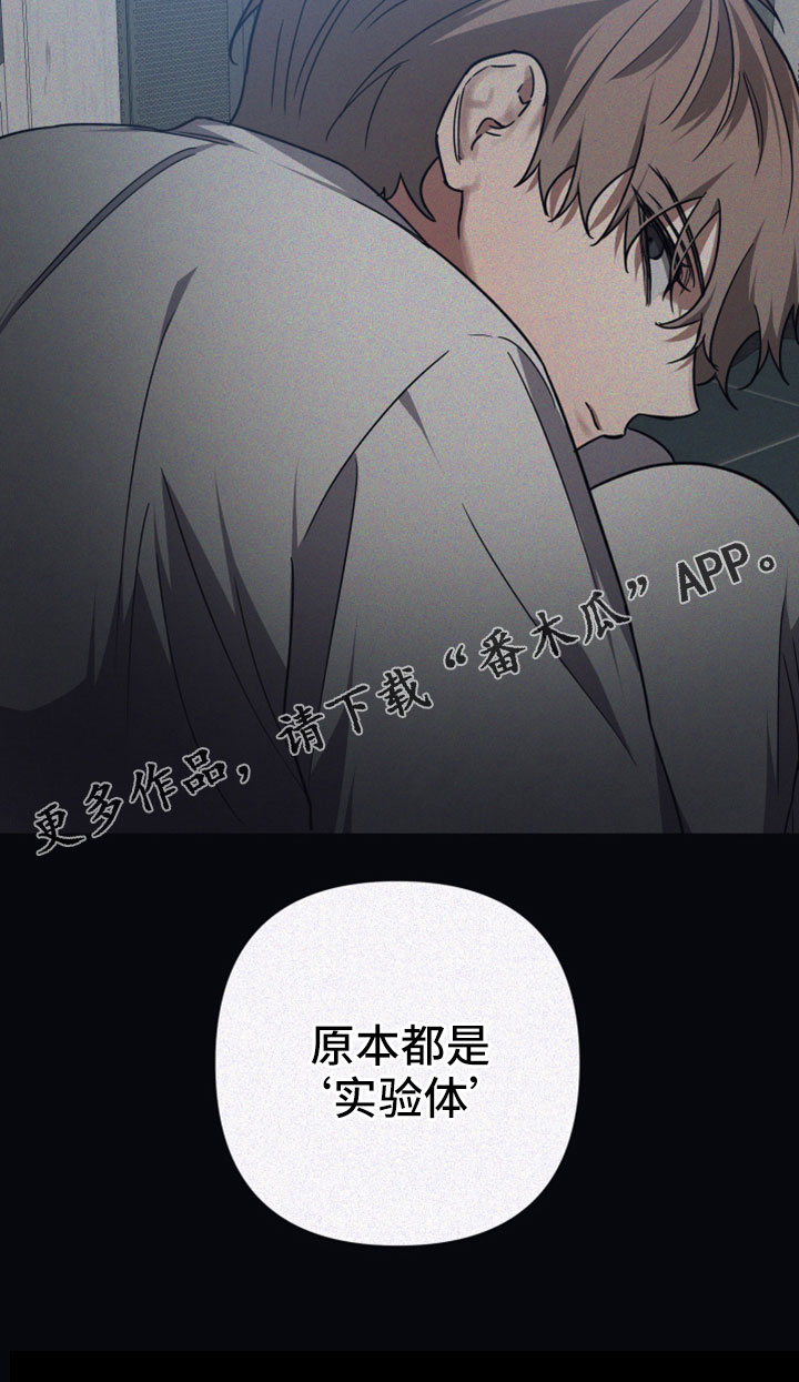 第121章：【第二季】都是实验体1