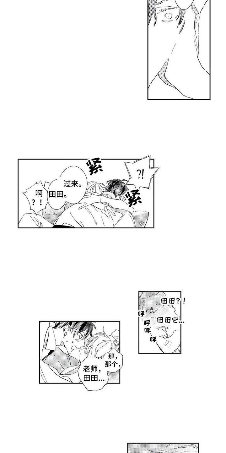 第3章：神奇的人2