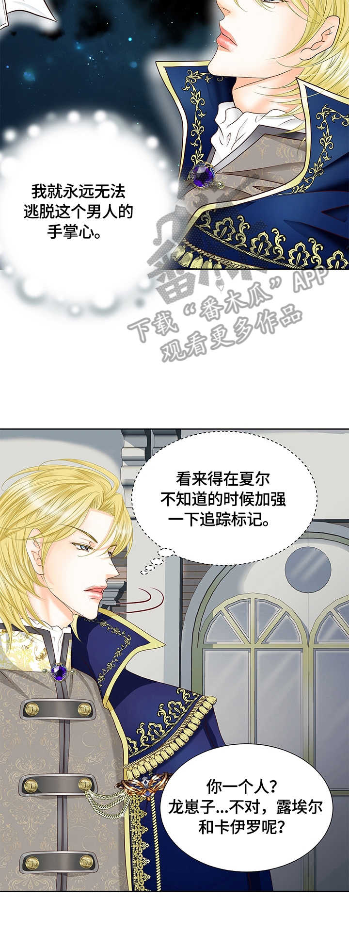 第71章：探口风4
