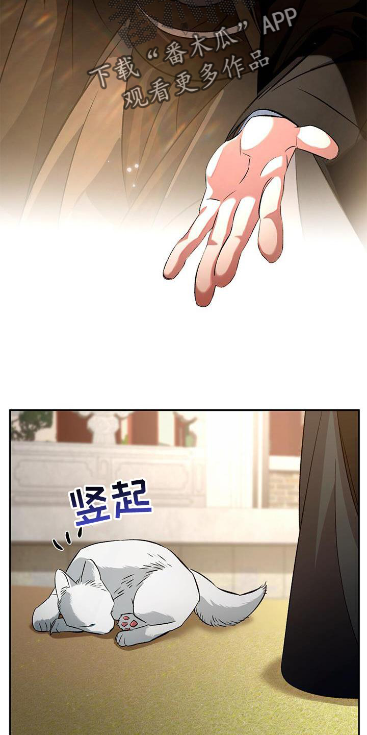 第56章：变幻兽1