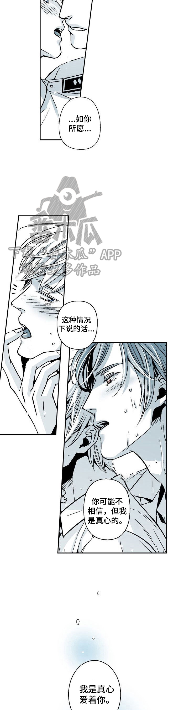 第27章：表情问题2